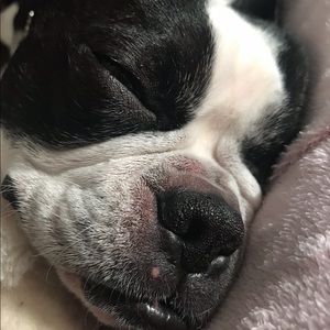 Supervising Mom’s work